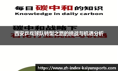 西安乒乓球队转型之路的挑战与机遇分析